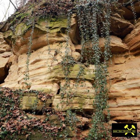 Sandsteinbruch Drossdorf bei Zeitz in Sachsen-Anhalt (D) 8. Dezember 2022 (6).JPG